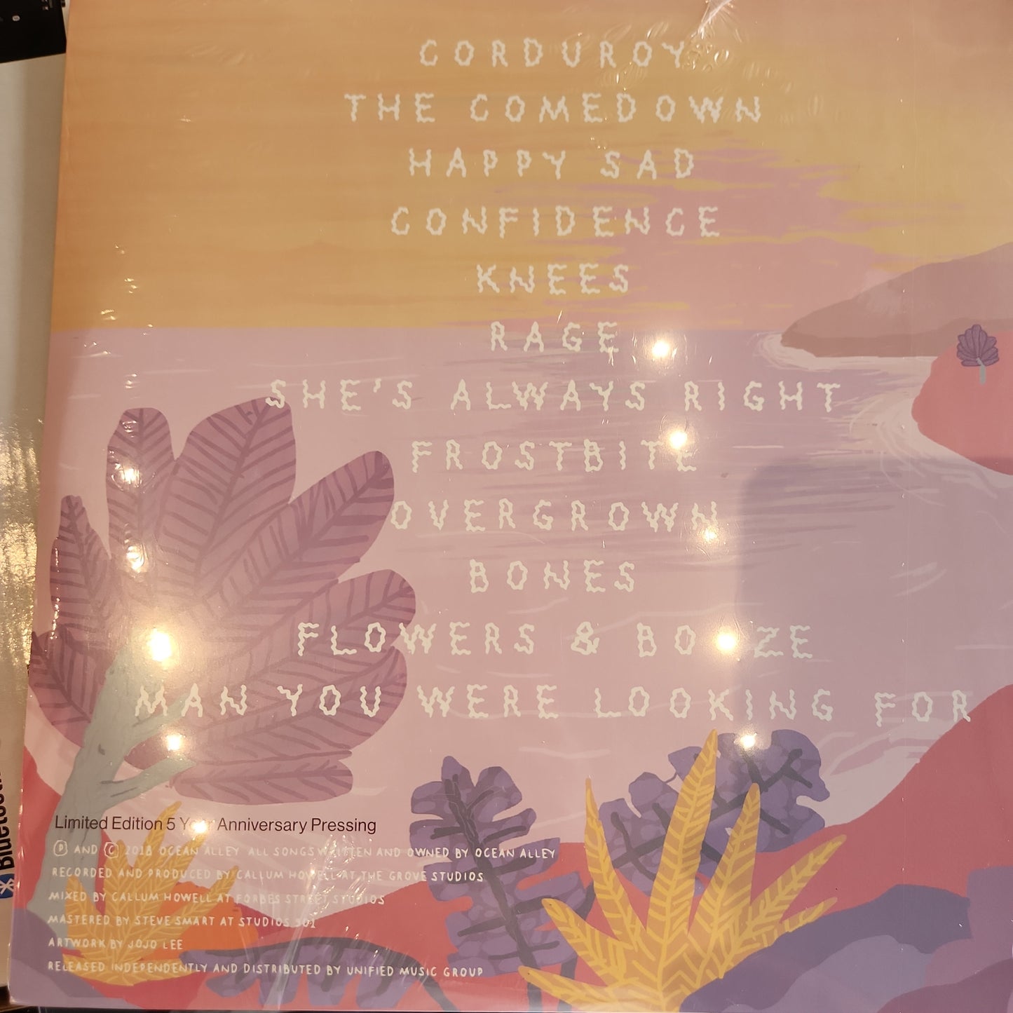 Ocean Alley - Chiaroscuro - Vinyl LP