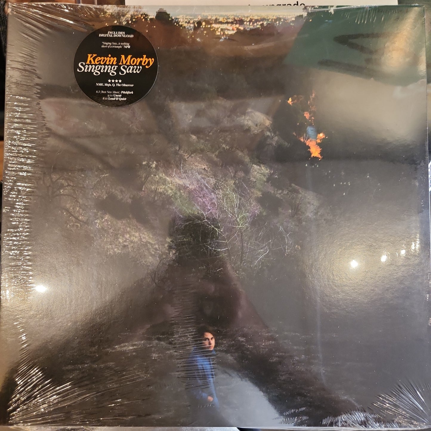 Kevin Morby - Singing Saw - Vinyl LP