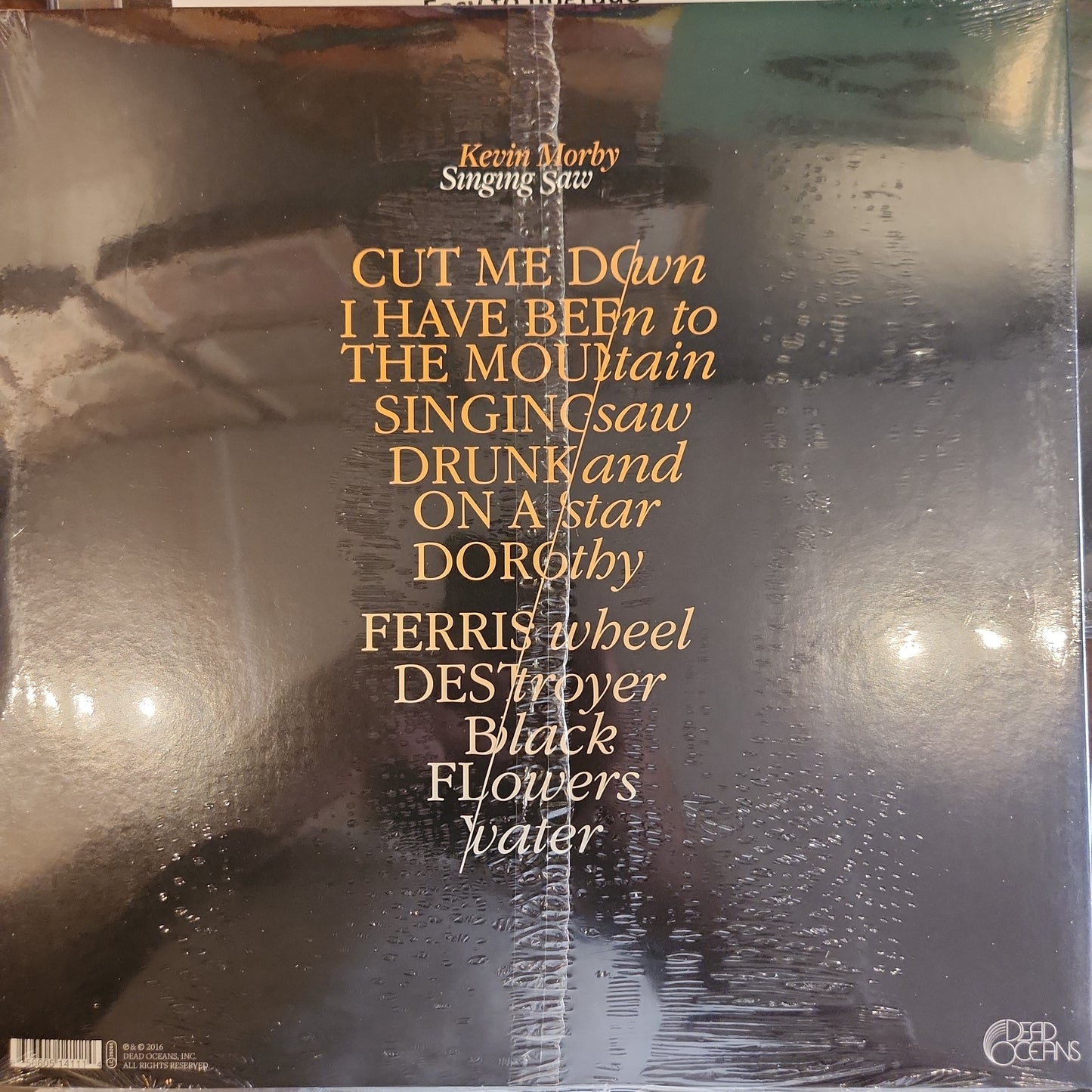 Kevin Morby - Singing Saw - Vinyl LP