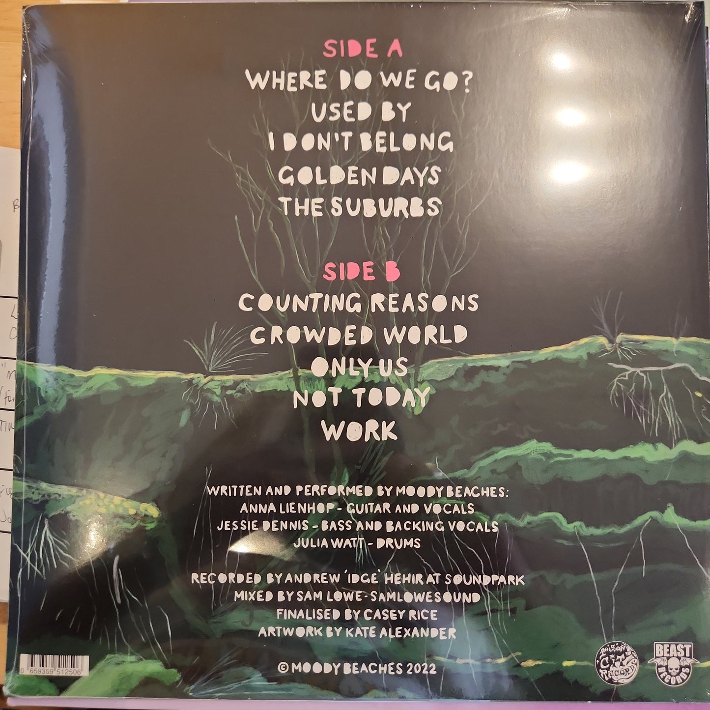 Moody Beaches - Acid Ocean - Vinyl LP