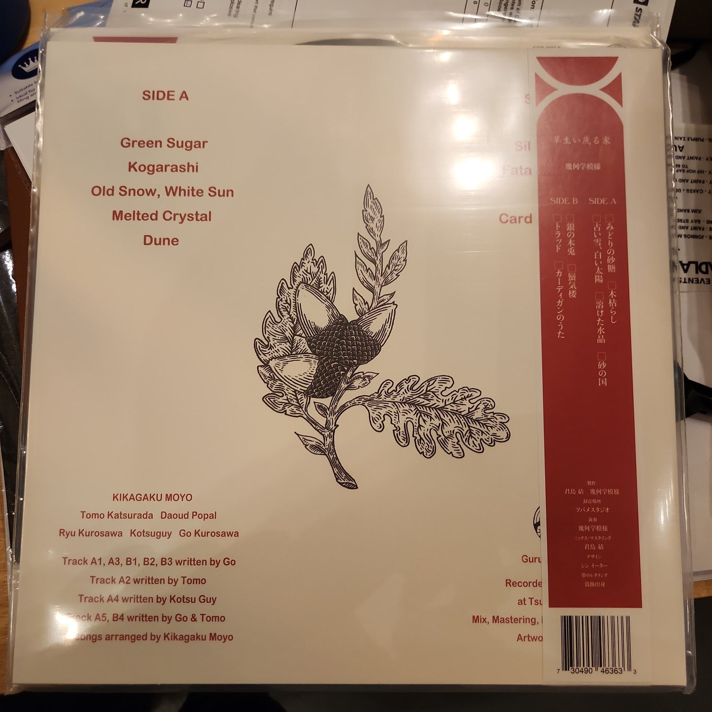 Kikagaku Moyo - House in the Tall Grass - Vinyl LP