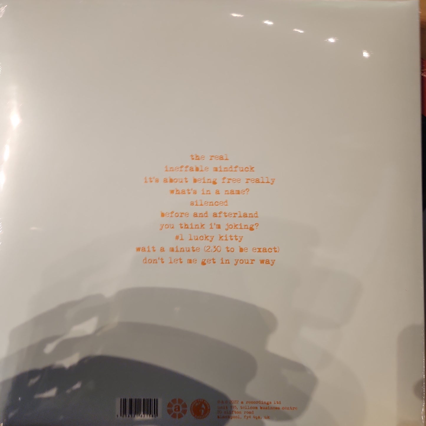 Brian Jonestown Massacre - FIRE DOESN'T GROW ON TREES - Vinyl LP