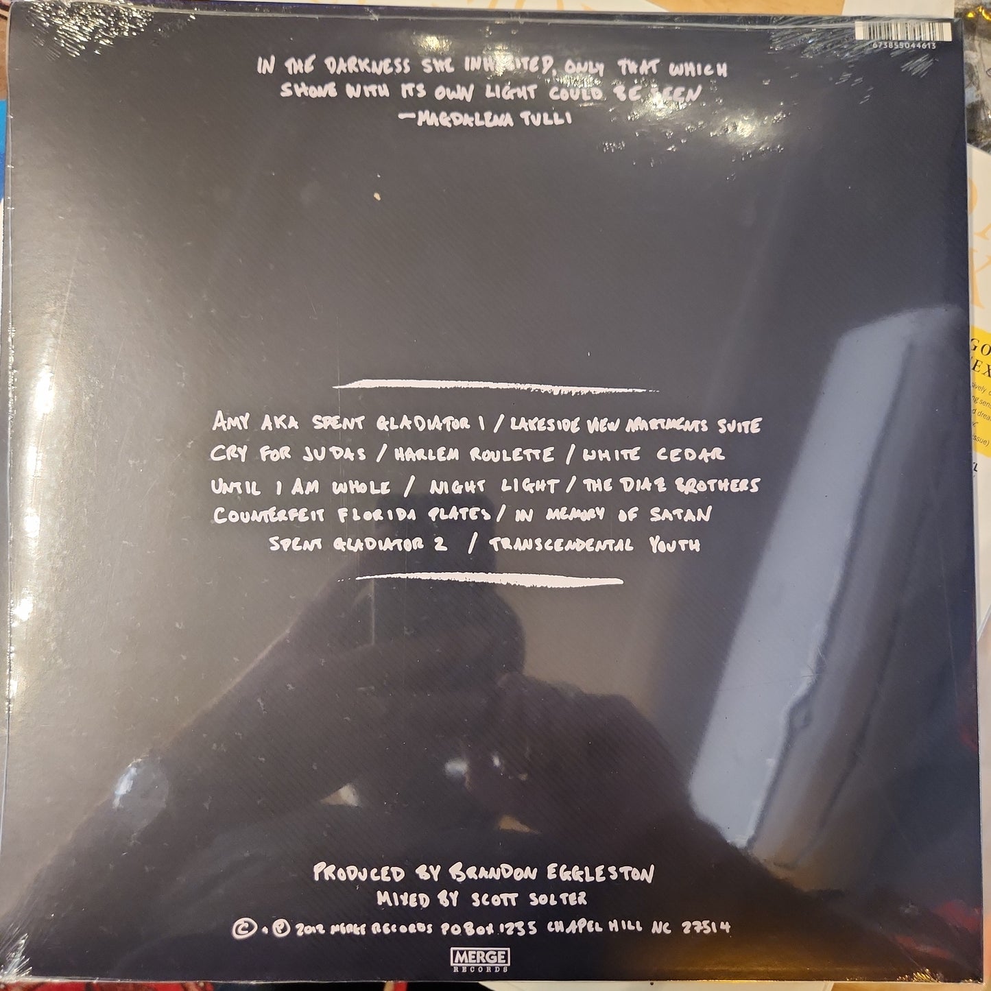 The Mountain Goats - Transcendental Youth - Vinyl LP