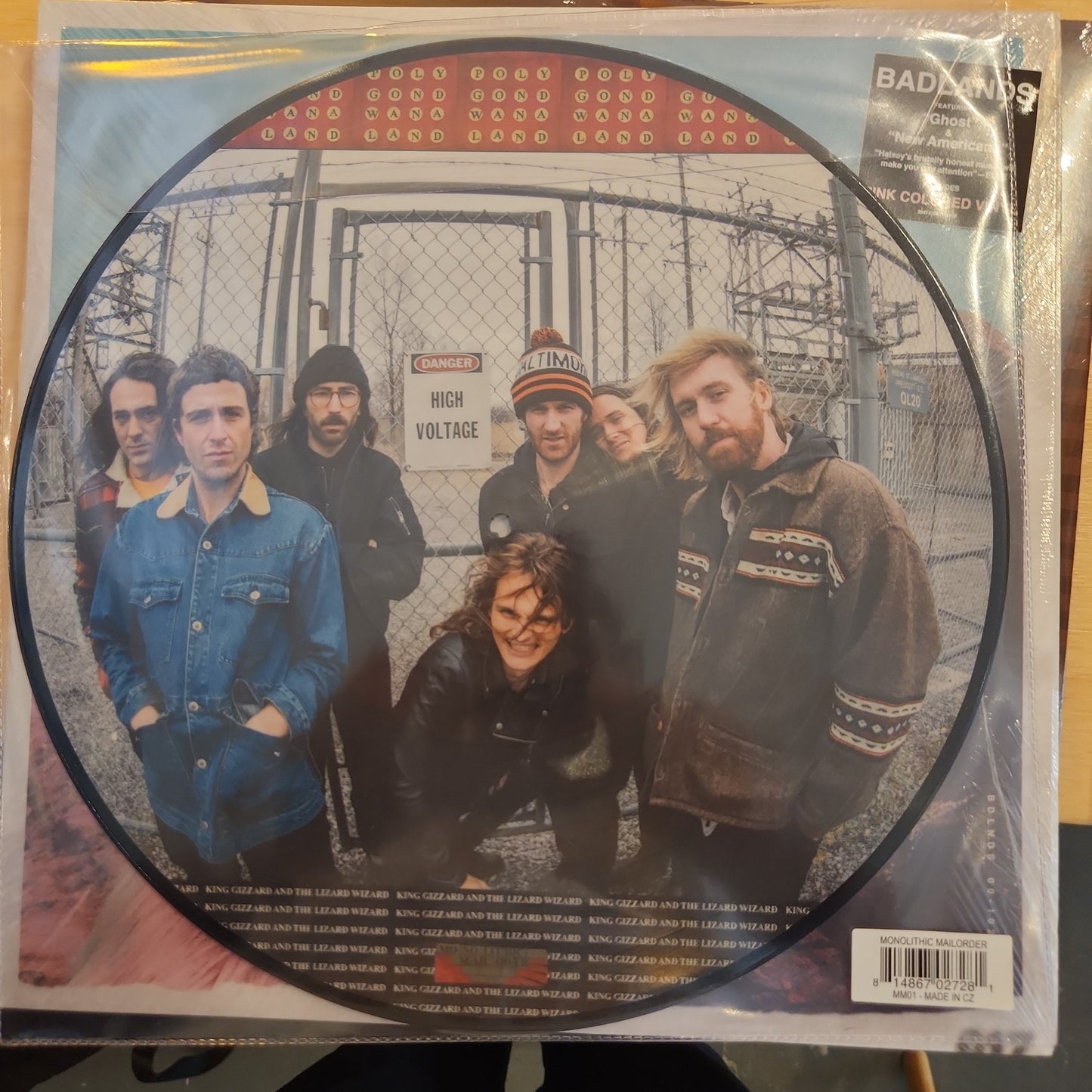 King Gizzard & the Lizard Wizard - Polygondwanaland- Picture Disc Vinyl LP