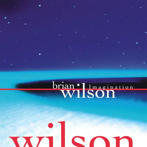 Brian Wilson - Imagination - Image 1