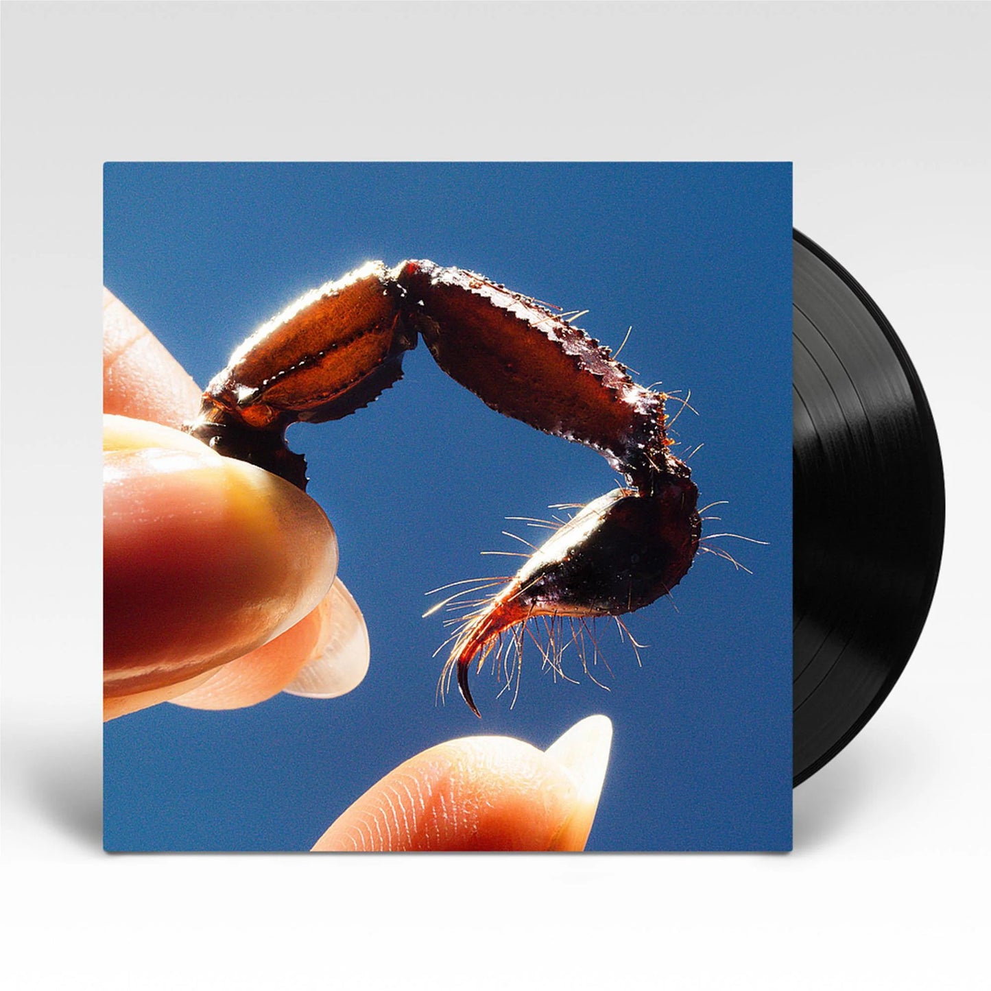 Squid - Cowards - Vinyl LP