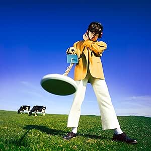 Declan Mckenna - What happened to the Beach - Vinyl LP