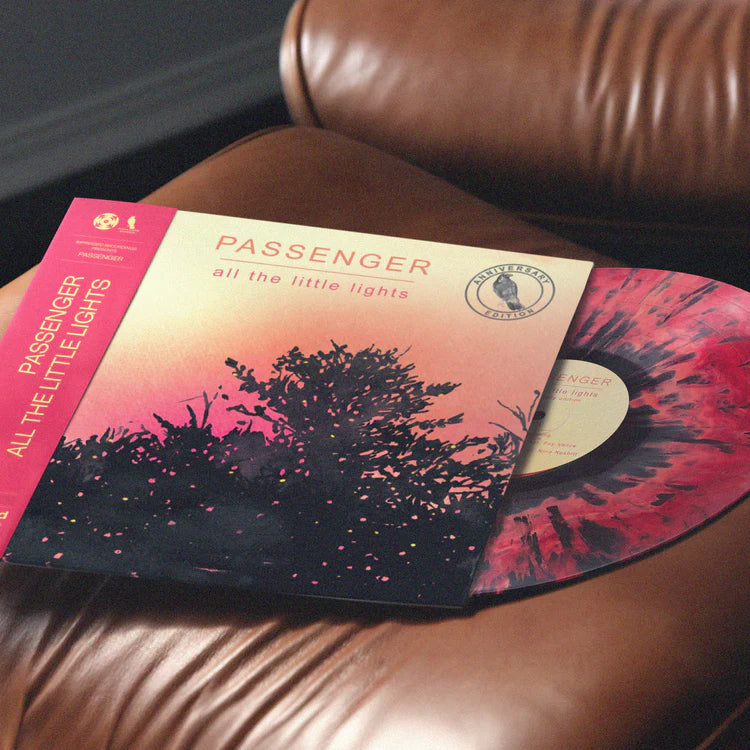 Passenger - All the little things - Vinyl LP