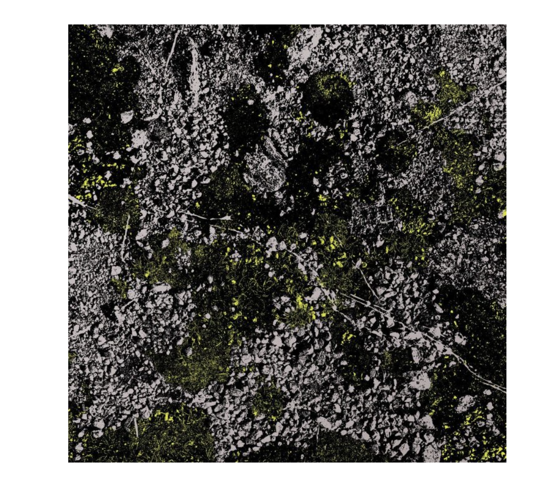 KING GIZZARD AND THE LIZARD WIZARD - INFEST THE RATS NEST: LIVE AT RED ROCKS 2022 (LTD. ED. GLOW-IN-THE-DARK GREEN VINYL) - VINYL - NEW