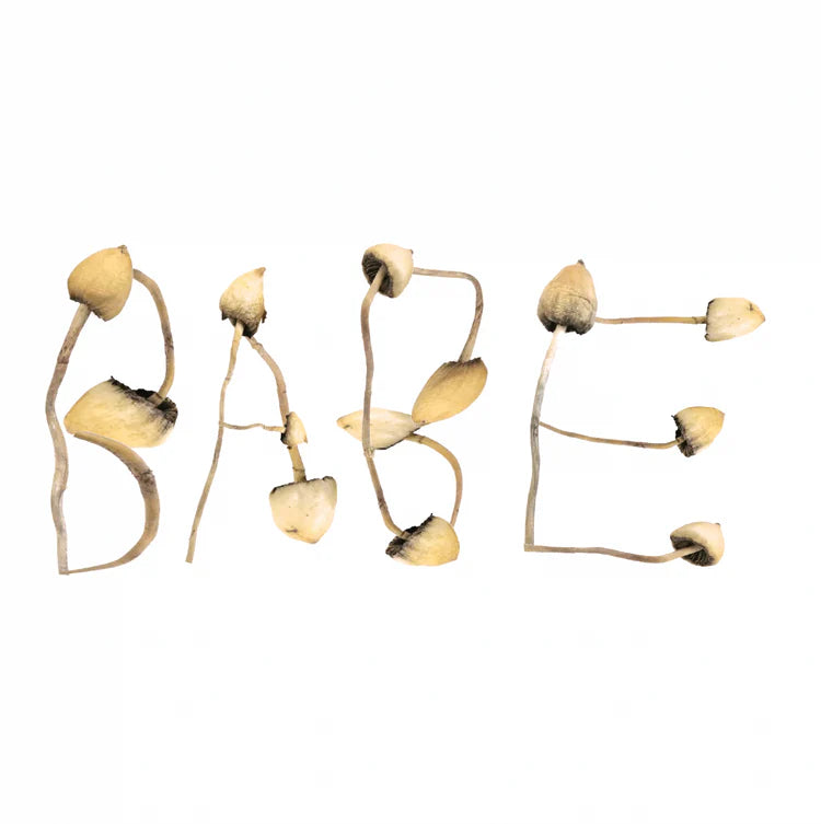 Babe Rainbow - Mushroom - Limited Edition Vinyl LP