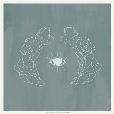 Jose Gonzalez - Vestiges & Claws - Vinyl LP