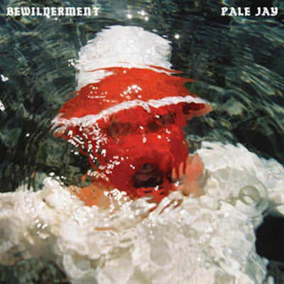 Pale Jay - Bewilderment - LP