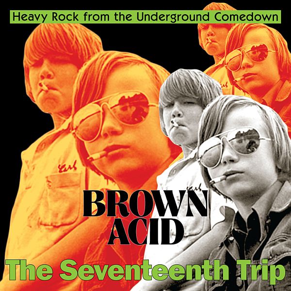 Various - Brown Acid : The Seventeenth Trip - Vinyl LP