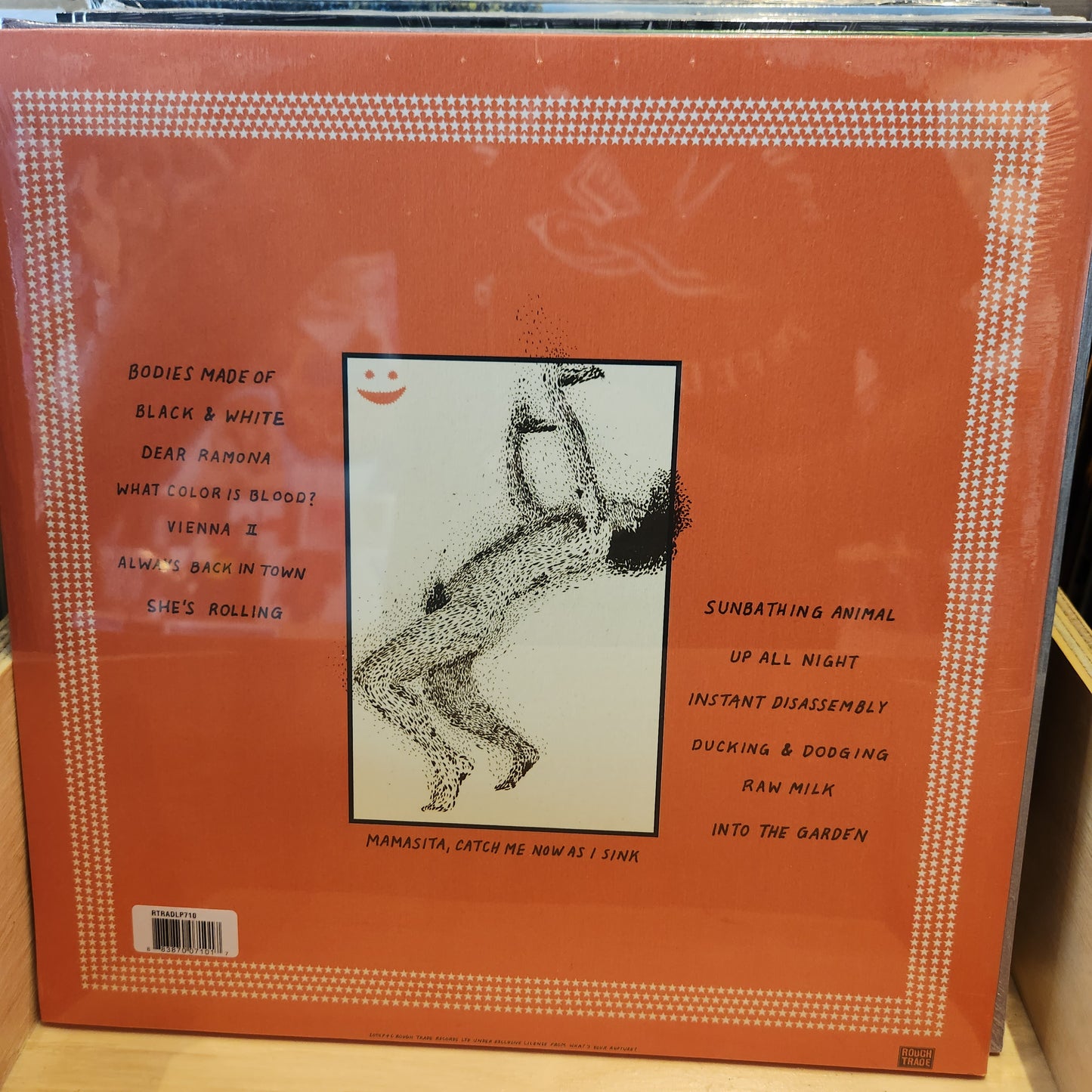 Parquet Courts - Sunbathing Animal - Vinyl LP