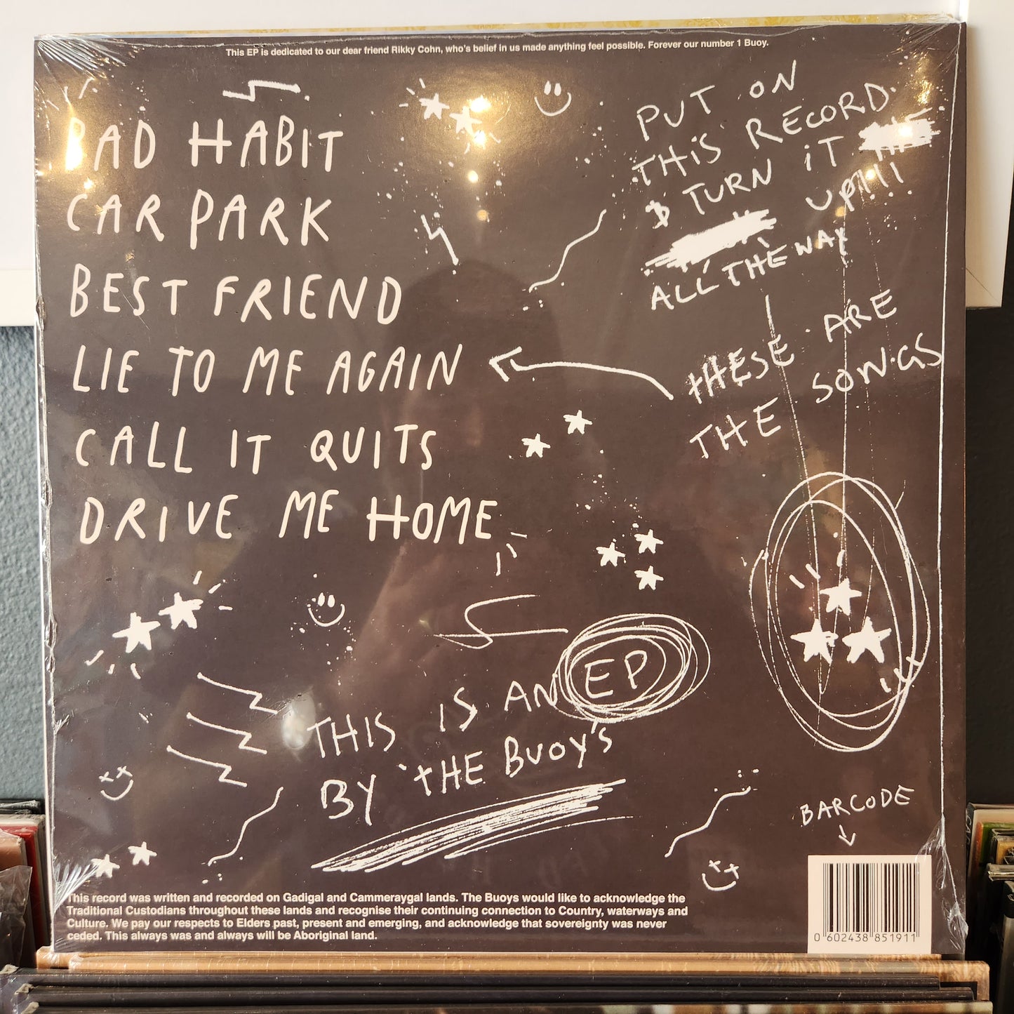 The Buoys - Unsolicited Advice for your DIY disaster - Vinyl LP