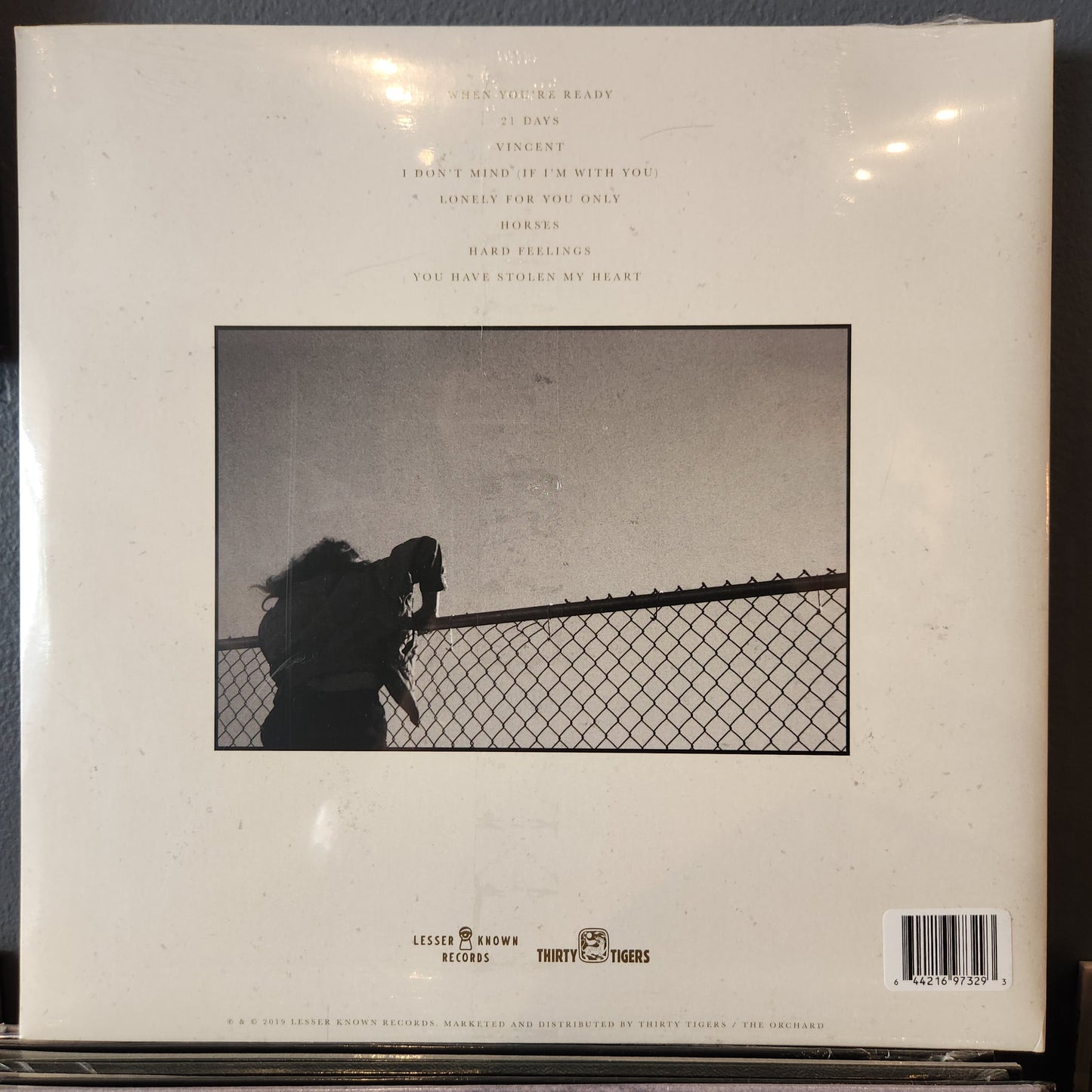 Brian Fallon - Local Honey - Vinyl LP