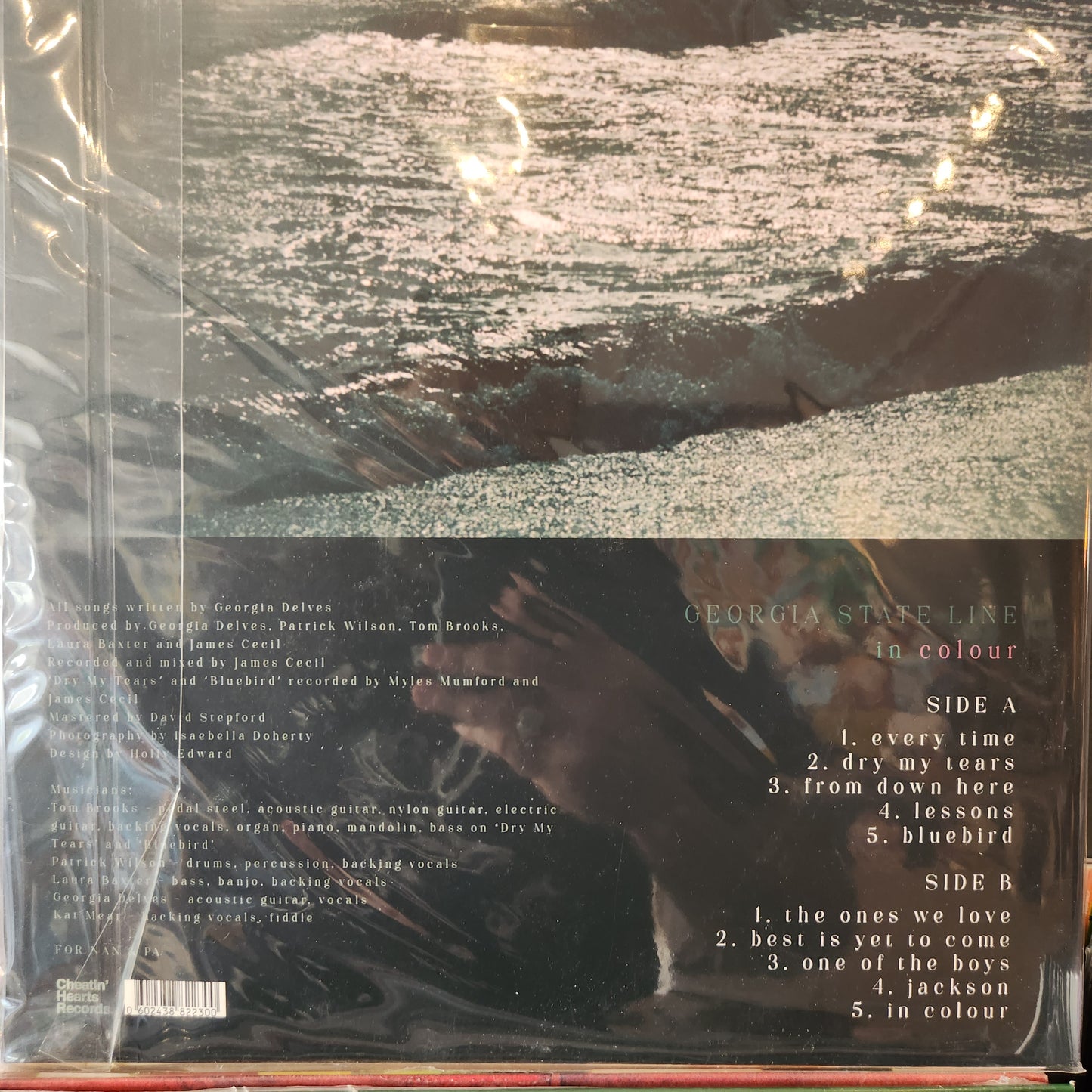 Georgia State Line - in colour - Vinyl LP