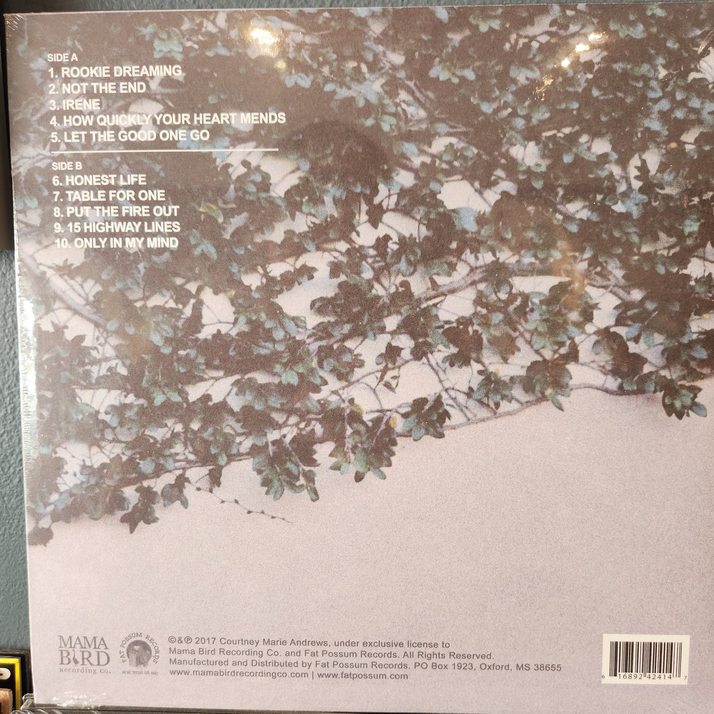 Courtney Marie Andrews - Honest Life - Vinyl LP