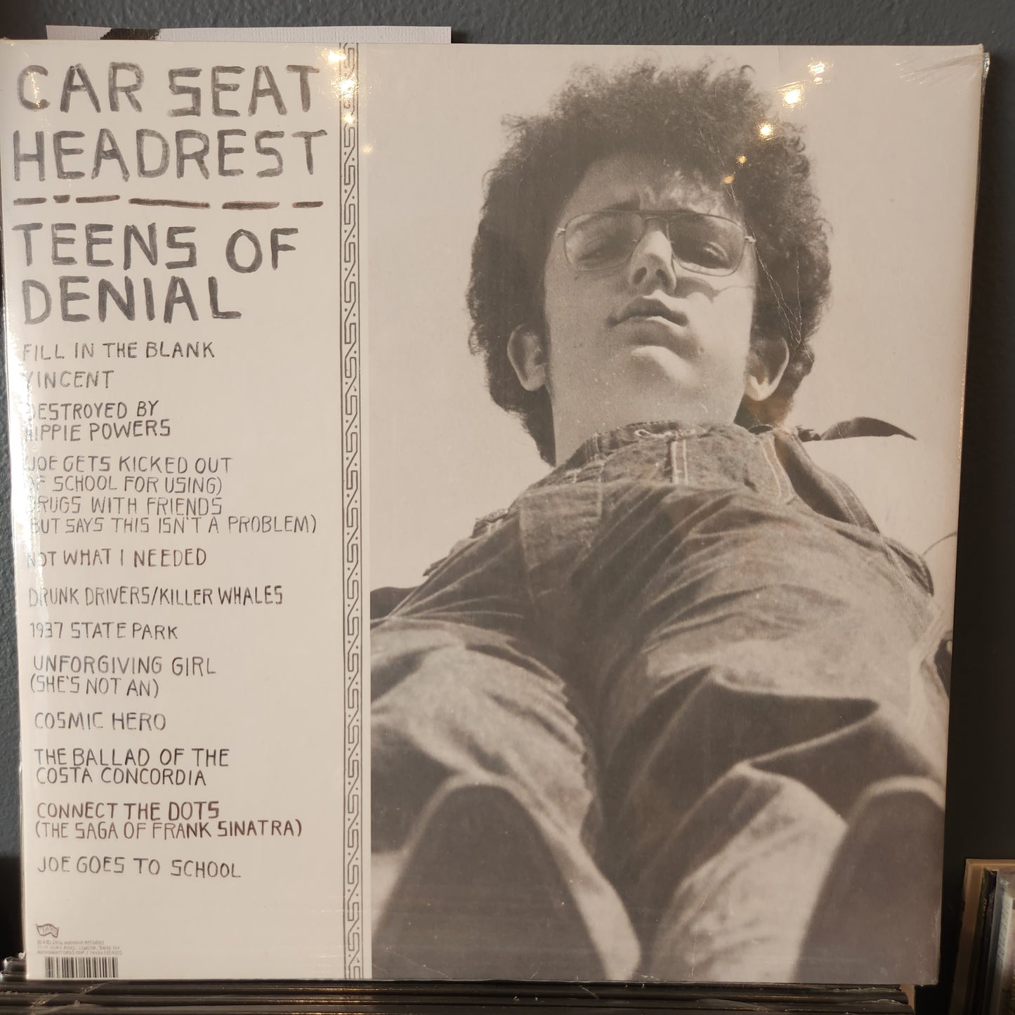 Car Seat Headrest - Teens of Denial - Vinyl LP