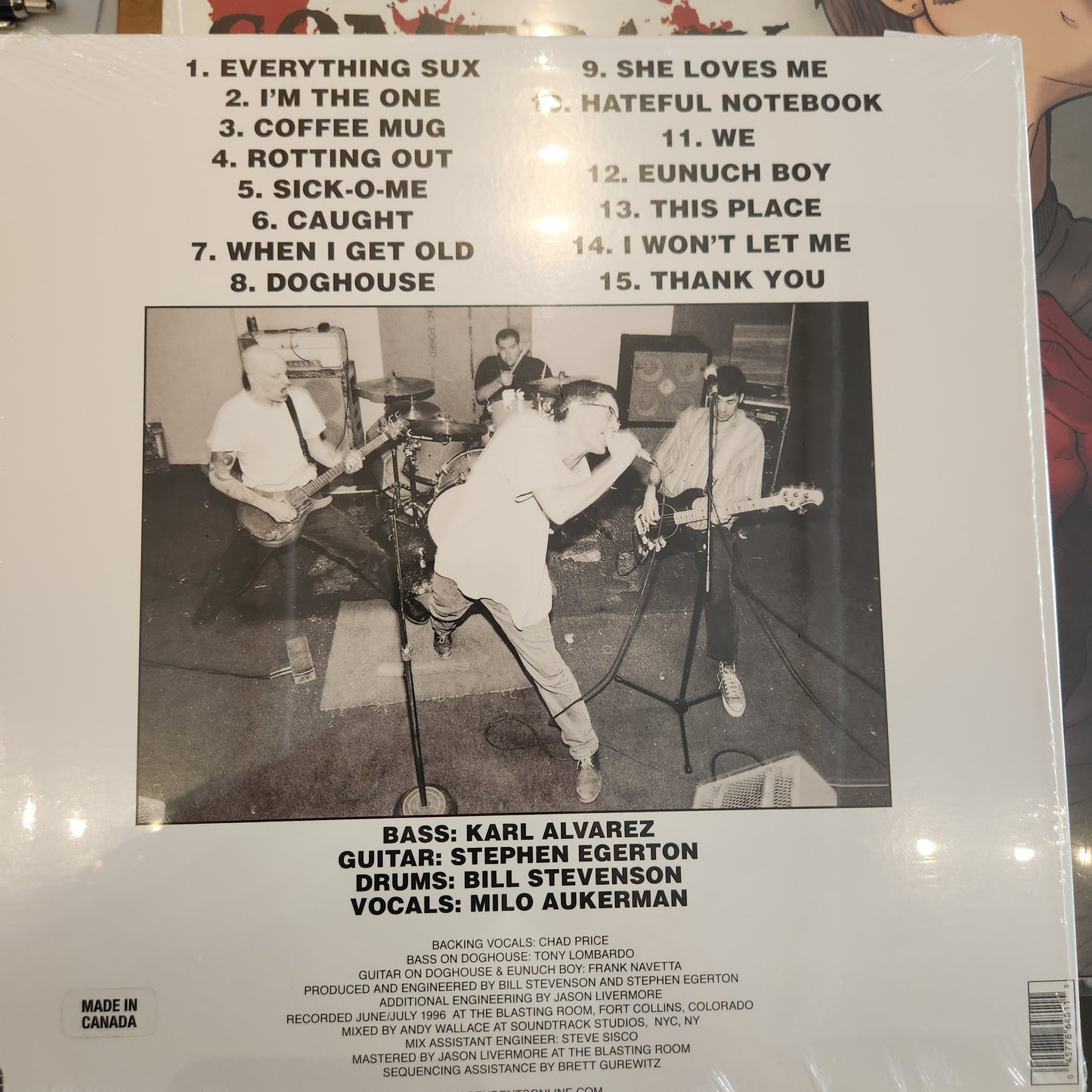 Descendents - Everything Sucks - Vinyl LP