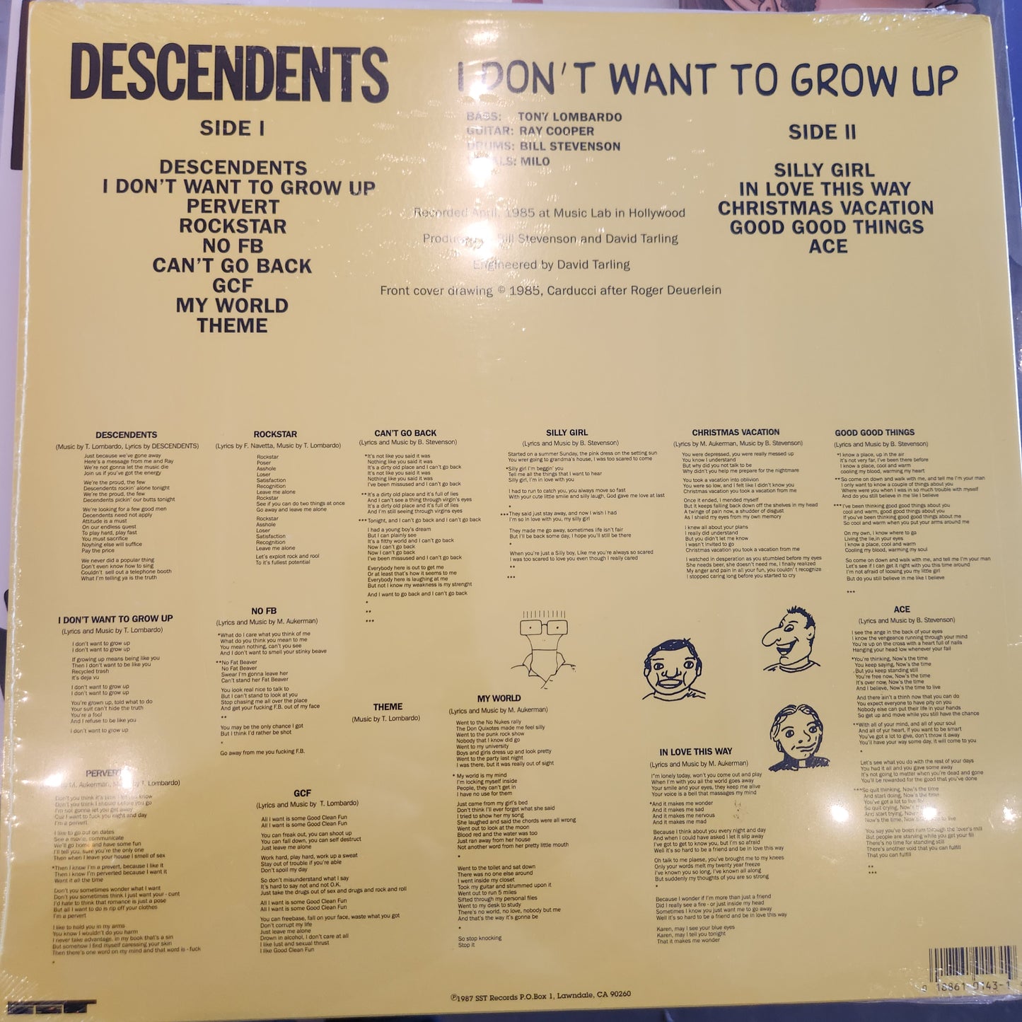 Descendents - I Don't Wanna Grow Up - Vinyl LP