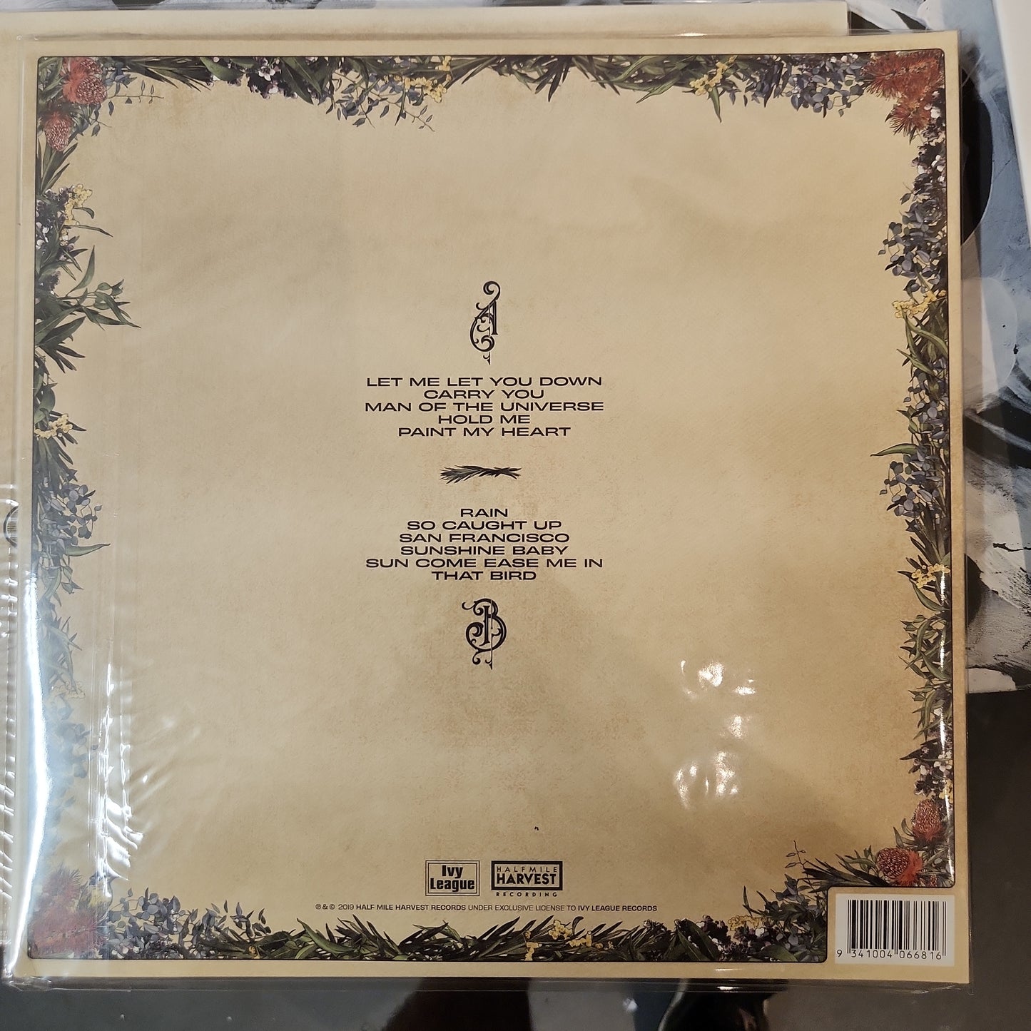 The Teskey Brothers - Run Home Slow - Vinyl LP