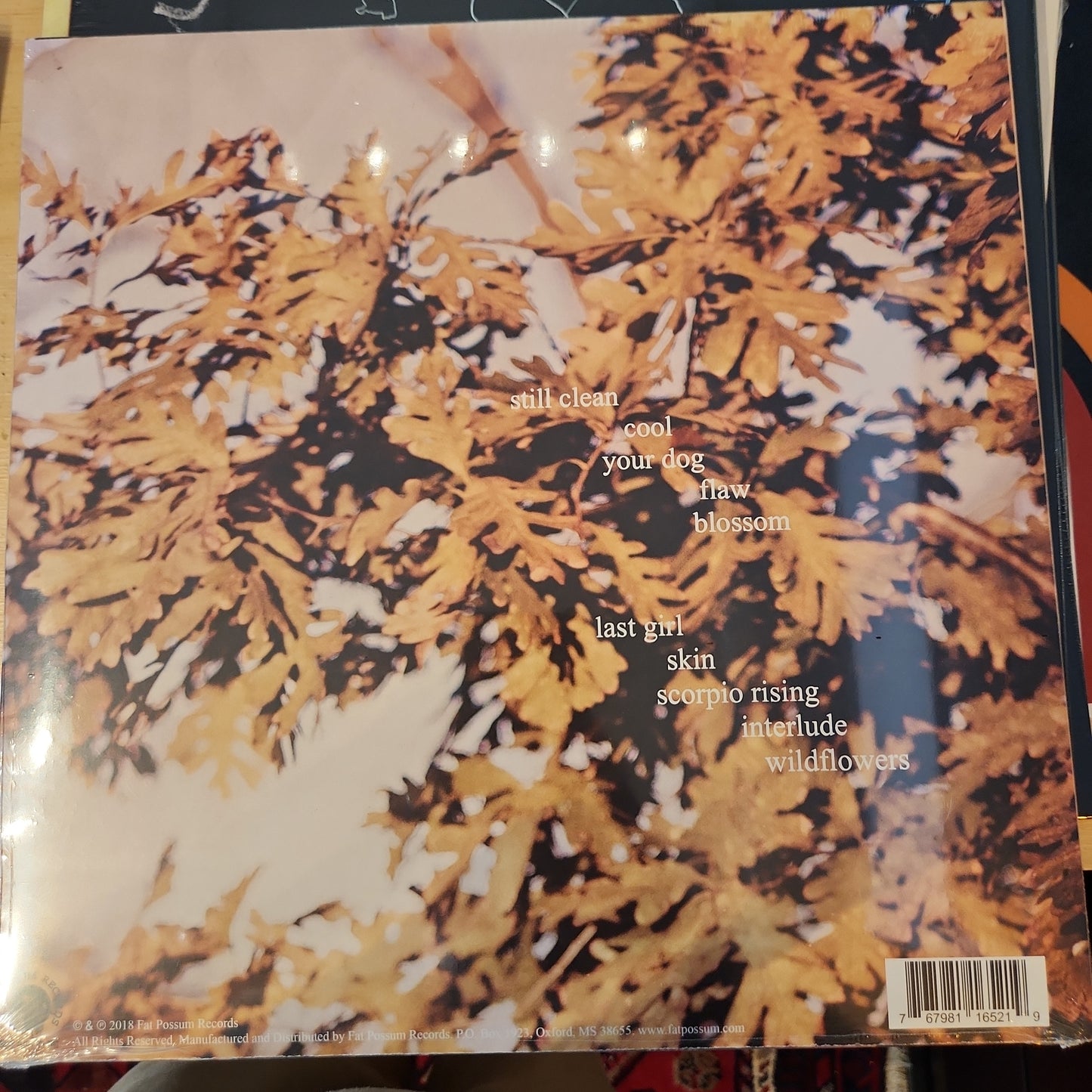 Soccer Mummy - Clean - Vinyl LP