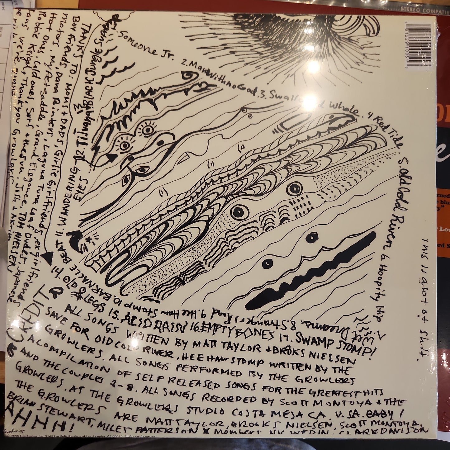 The Growlers - Are you in or Out? - Vinyl LP