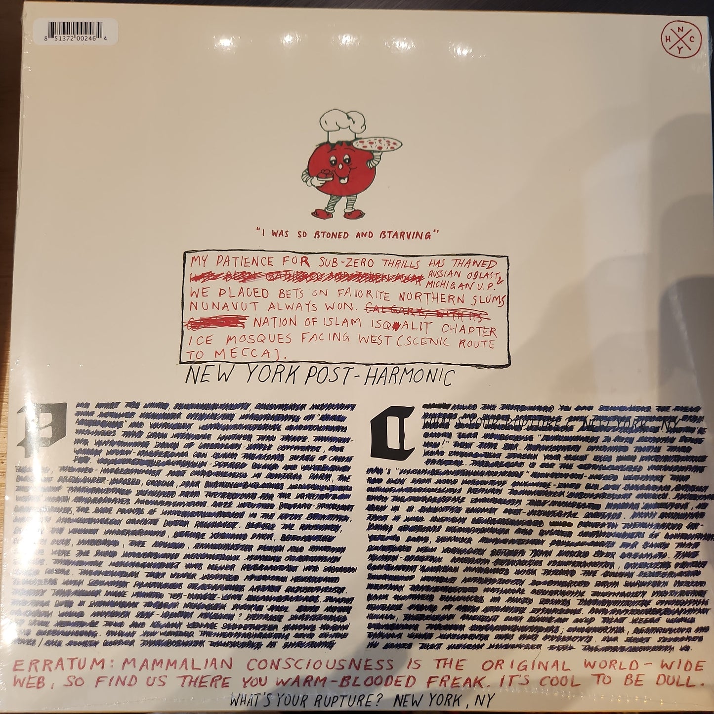 Parquet Courts - Light Up Gold - Vinyl LP