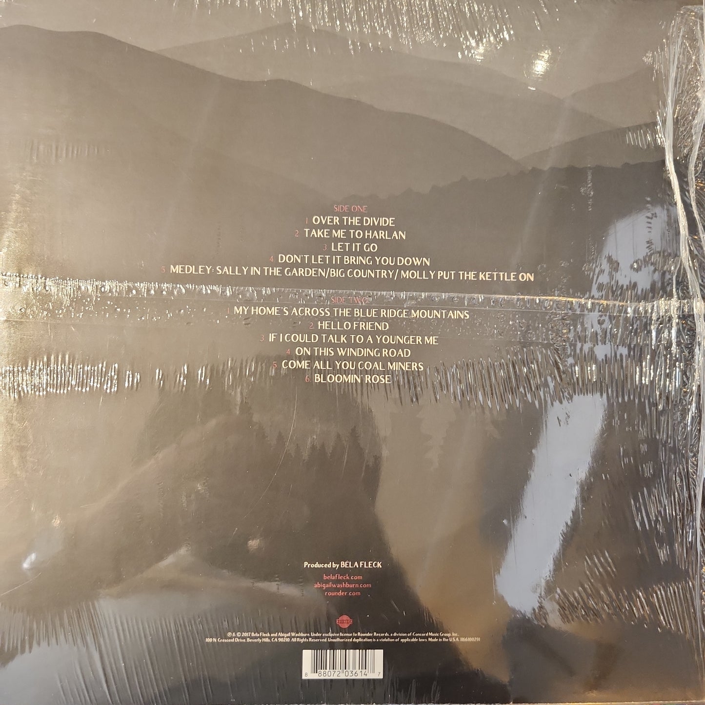 Bela Fleck & Abigail Washington - Echo in the Valley - Vinyl LP