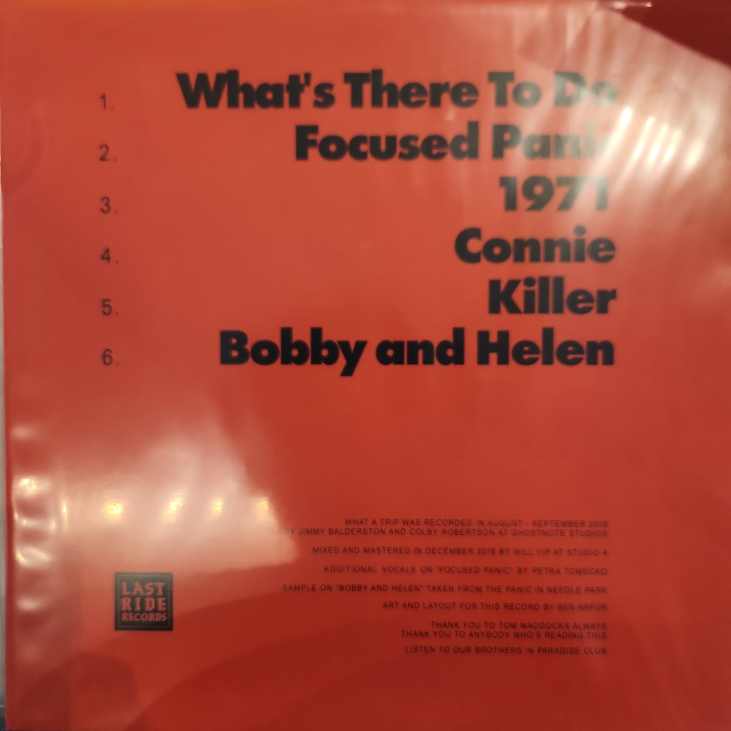 World View - What a trip - Vinyl LP