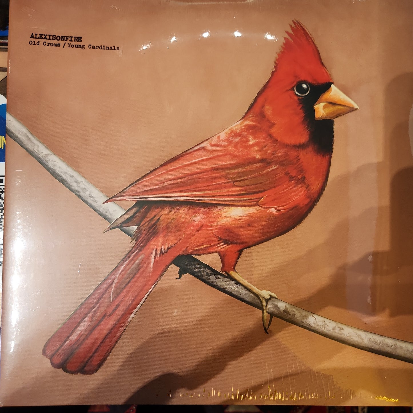 Alexisonfire - Old Crows/ Young Cardinals - Vinyl LP