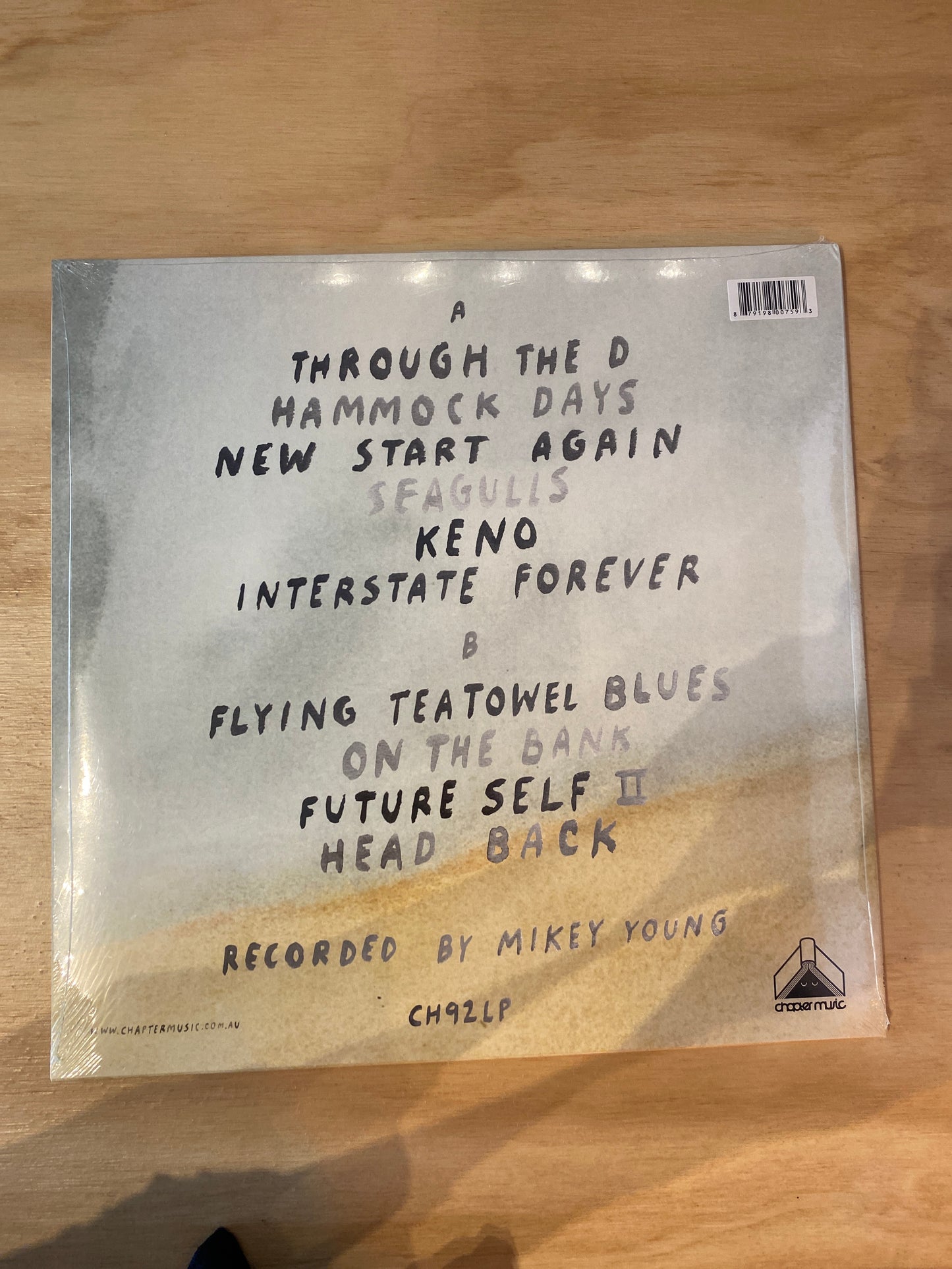 Dick Diver - New Start Again - Vinyl LP