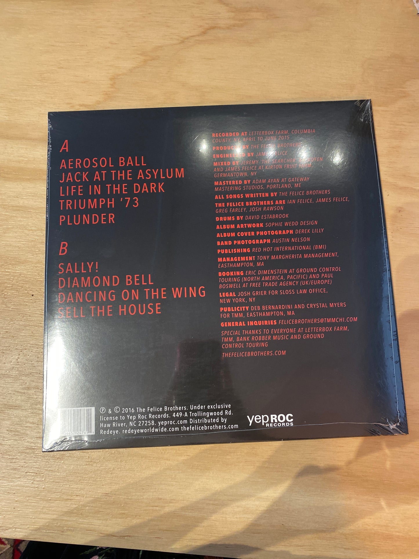 The Felice Brothers - Life In The Dark - Vinyl LP