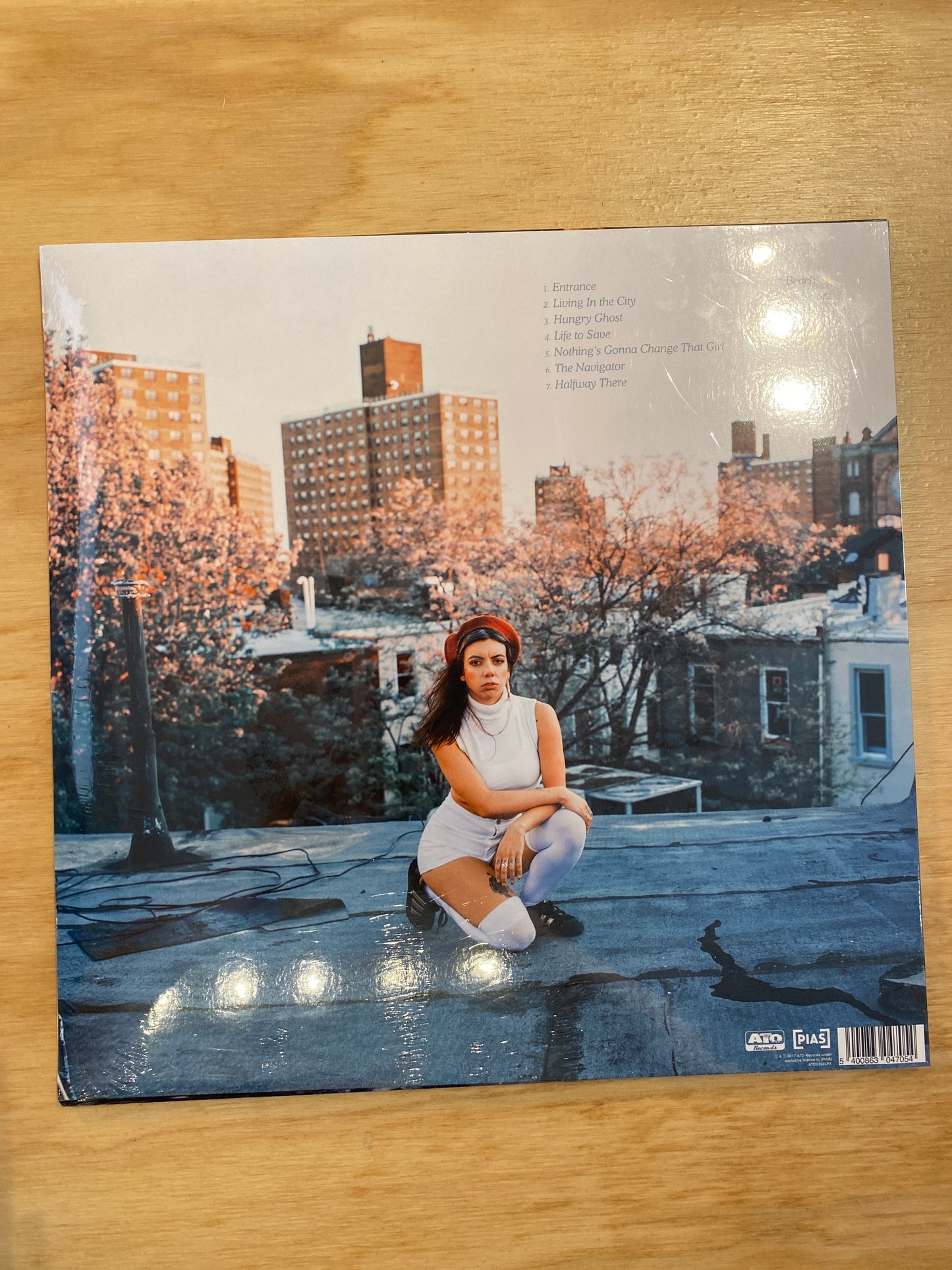 Hurray for the Riff Raff - The Navigator - Vinyl LP