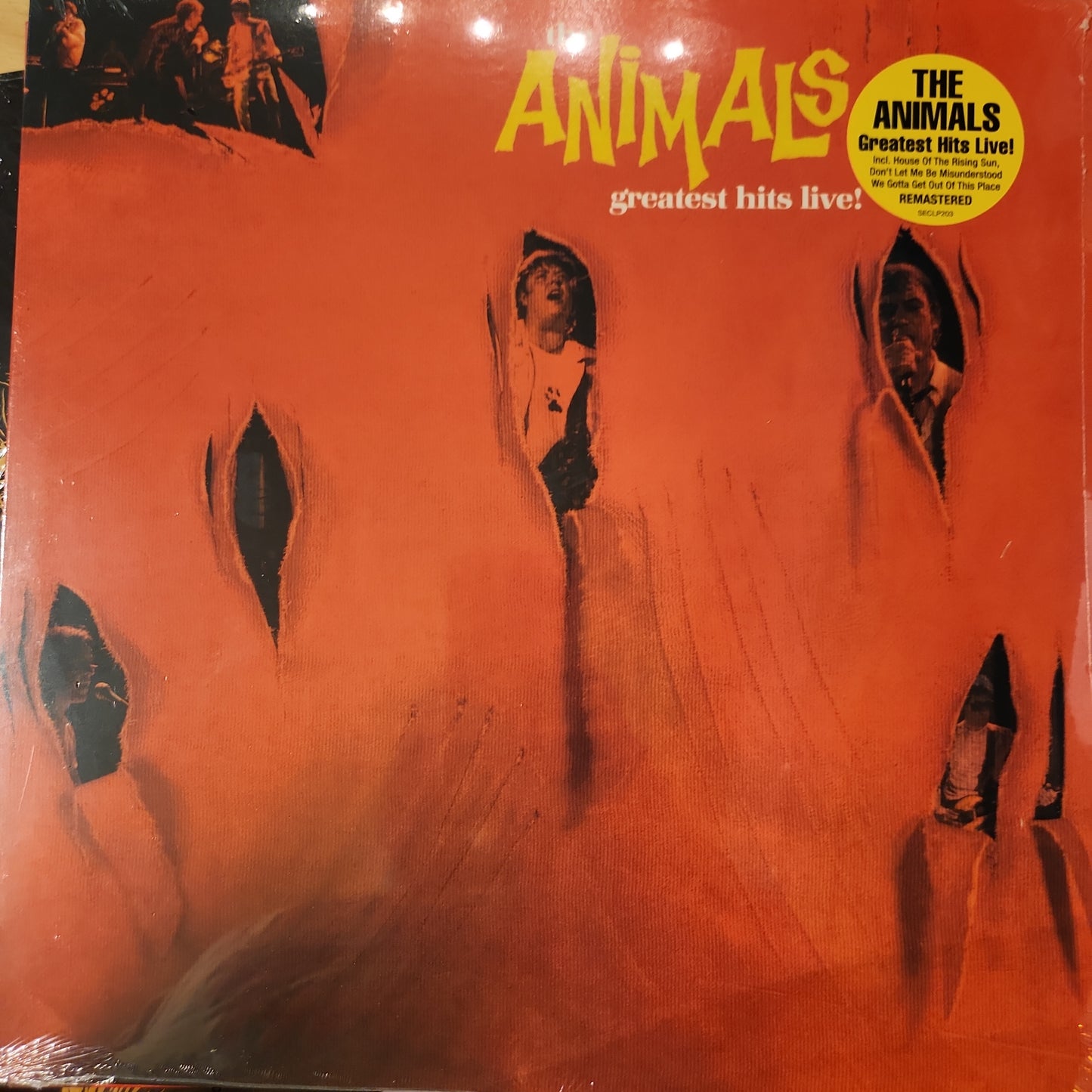 The Animals - Greatest Hits Live - Vinyl LP