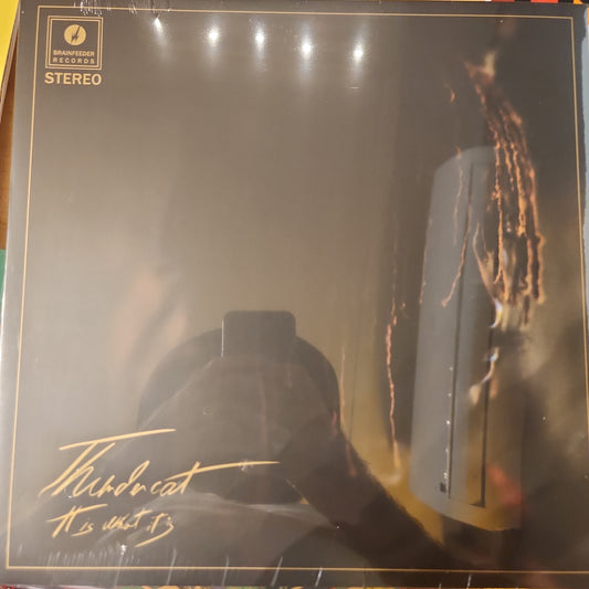 Thundercat - It is what it is - Vinyl LP