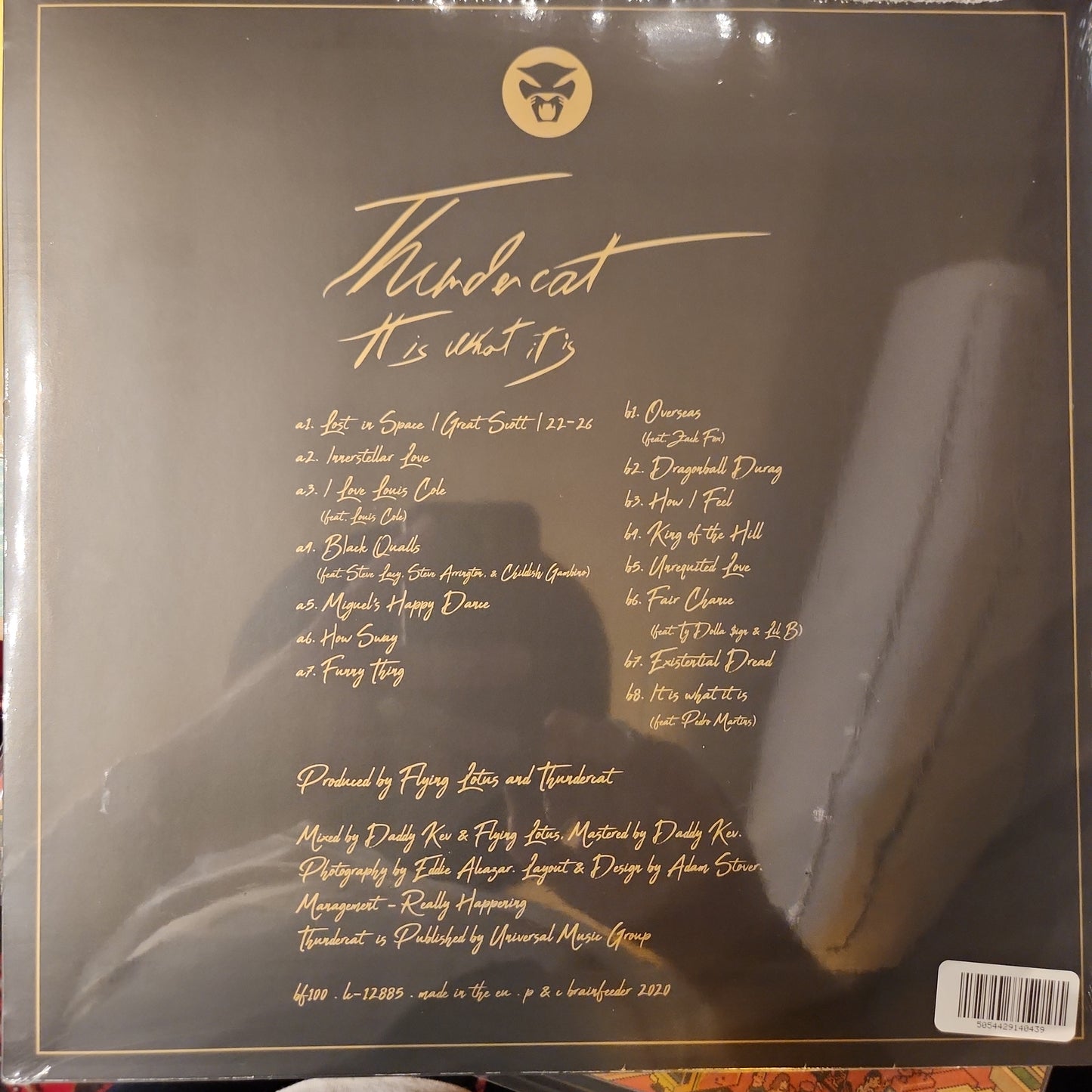 Thundercat - It is what it is - Vinyl LP