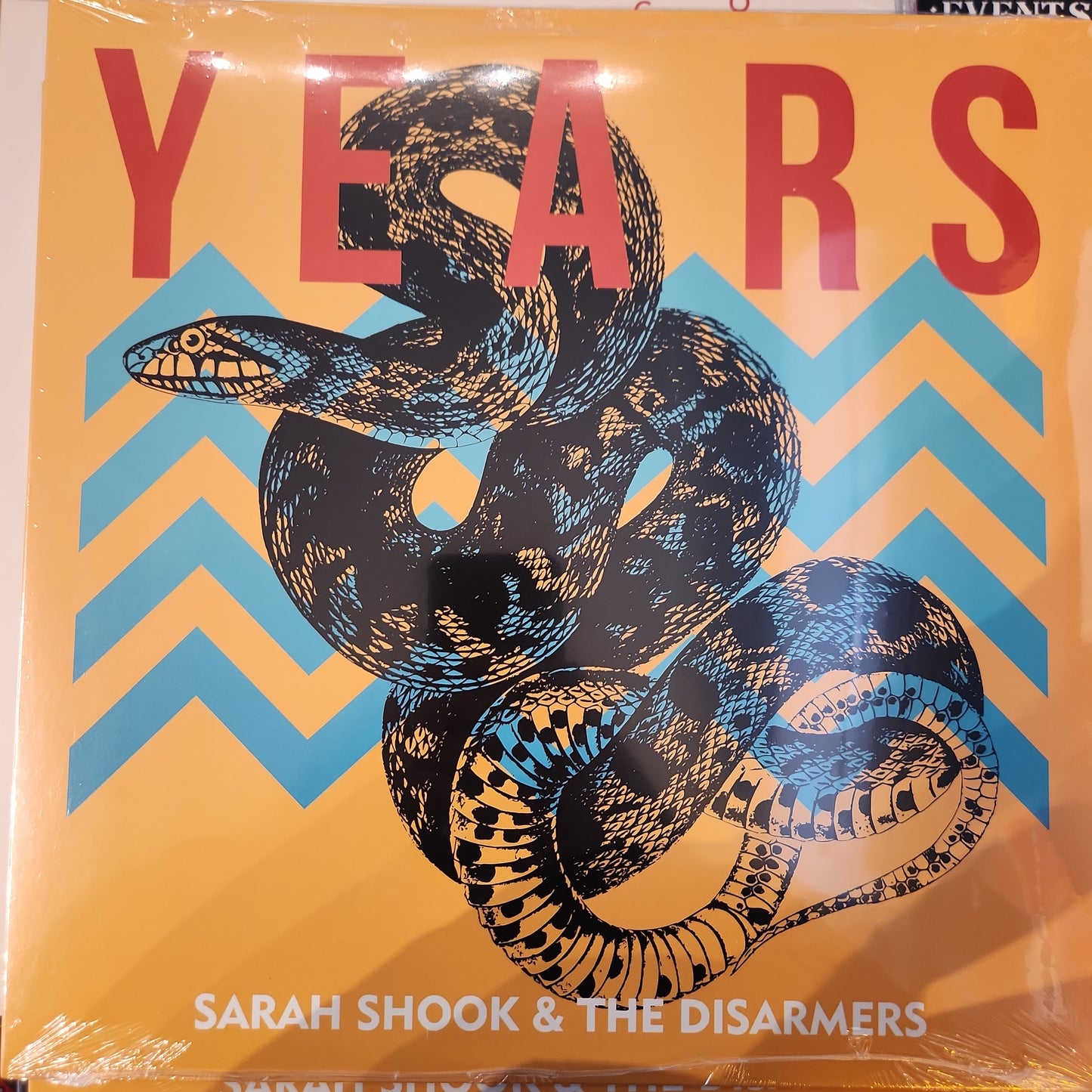 Sarah Shook & The Disarmers - Years - Vinyl LP