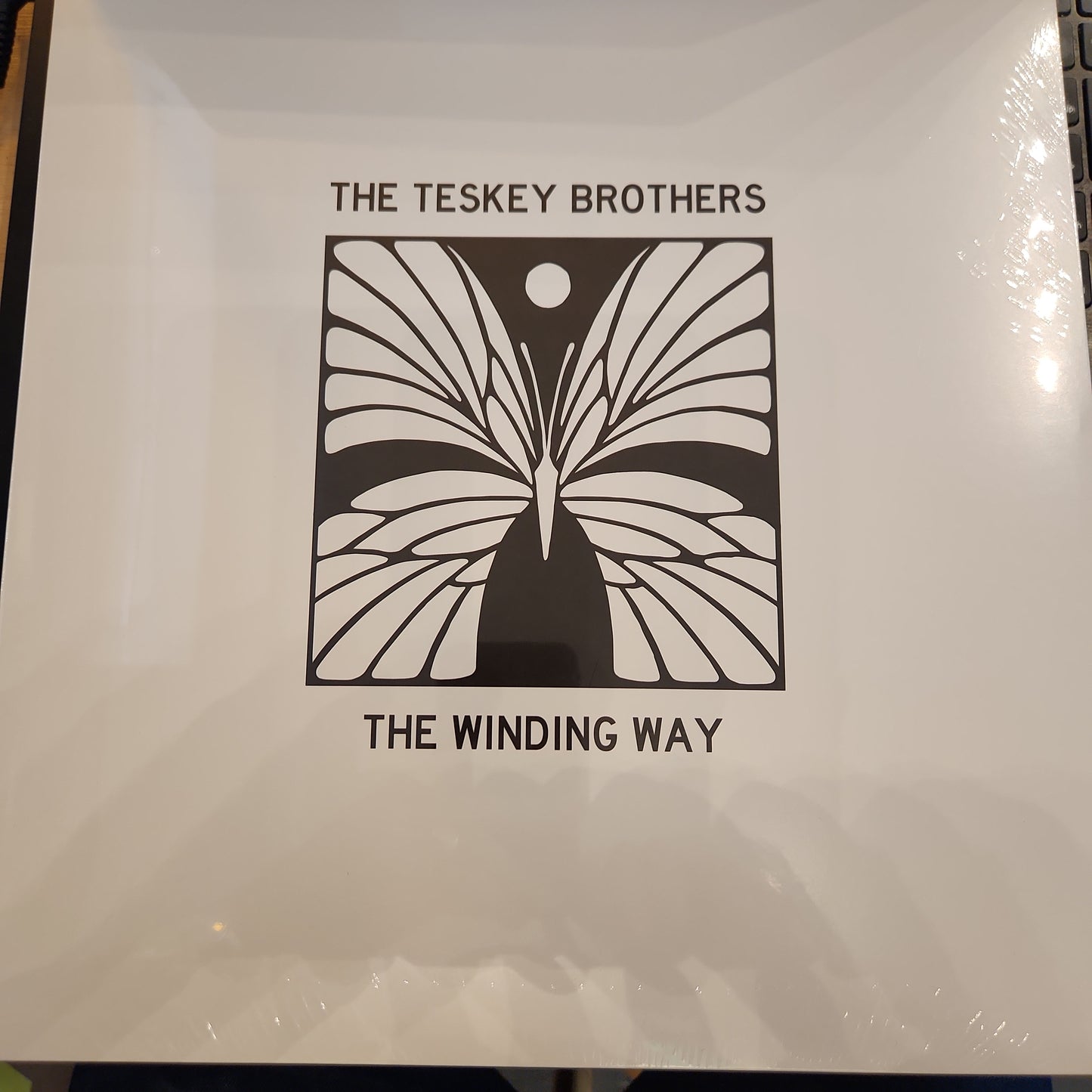 The Teskey Brothers - The Winding Way - Vinyl LP