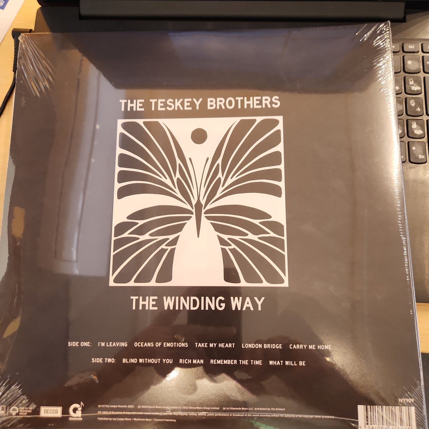 The Teskey Brothers - The Winding Way - Vinyl LP