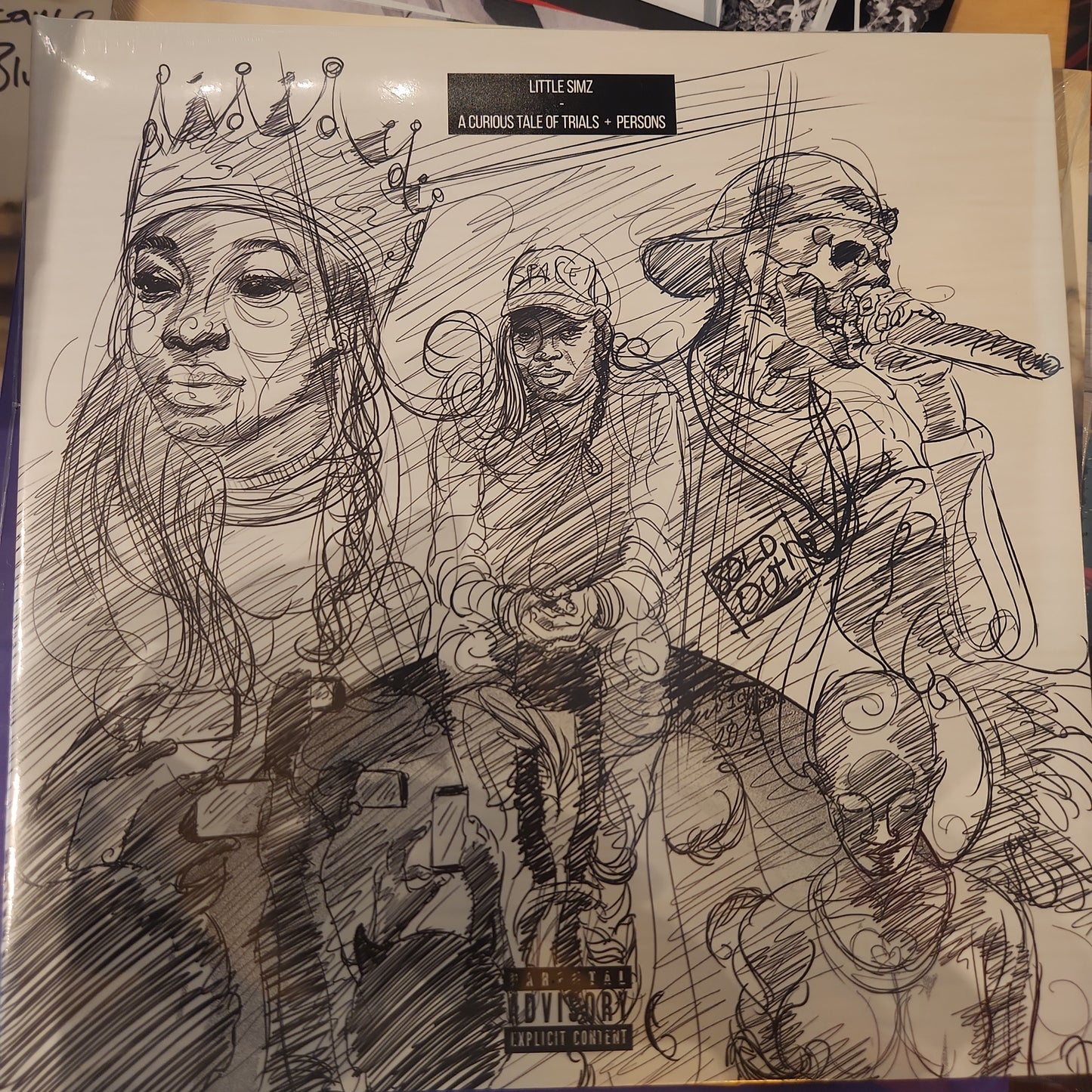 Little Simz - A Curious Tale of Trials & Persons - Vinyl LP