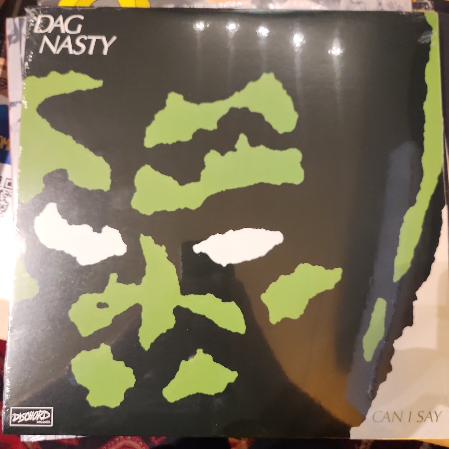 Dag Nasty - Can I say - Vinyl LP