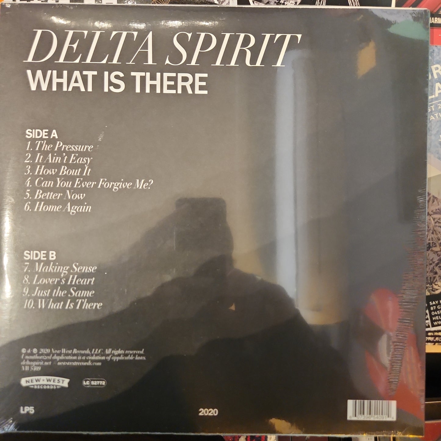 Delta Spirit - What is there - Vinyl LP