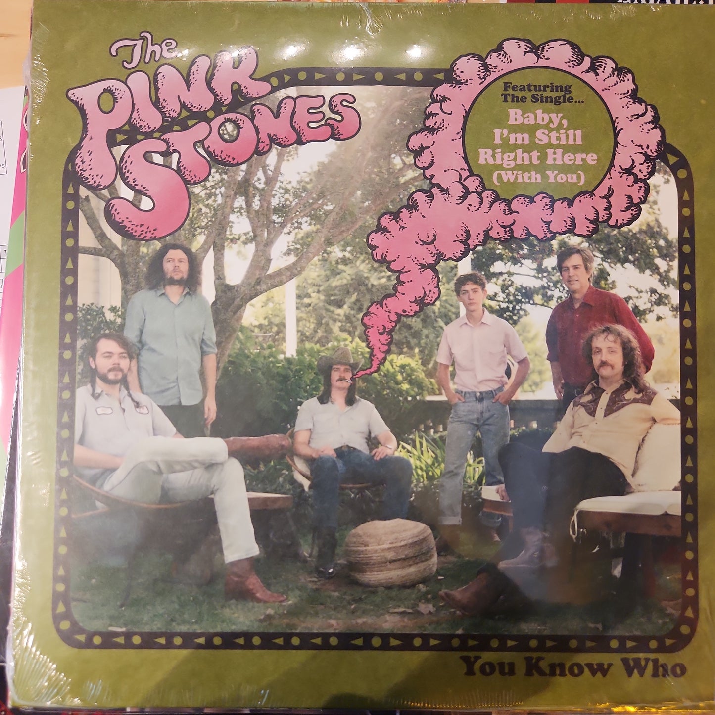 The Pink Stones - You Know Who - Vinyl LP