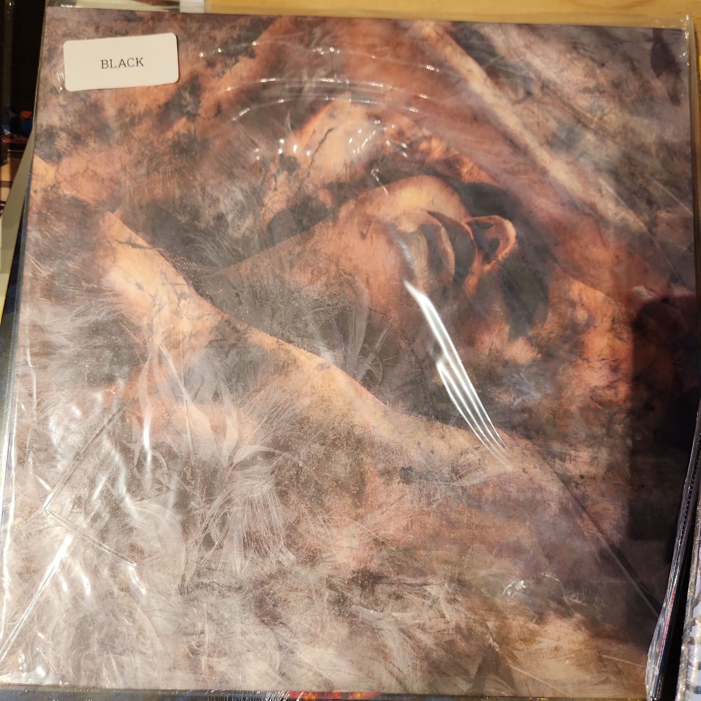 Converge - Unloved and Weeded Out - Vinyl LP