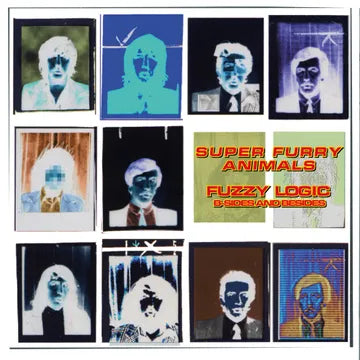 Super Furry Animals - Fuzzy Logic : B Sides and Besides - Vinyl LP RSD 24