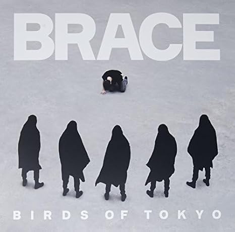 Birds of Tokyo - Brace - Vinyl LP