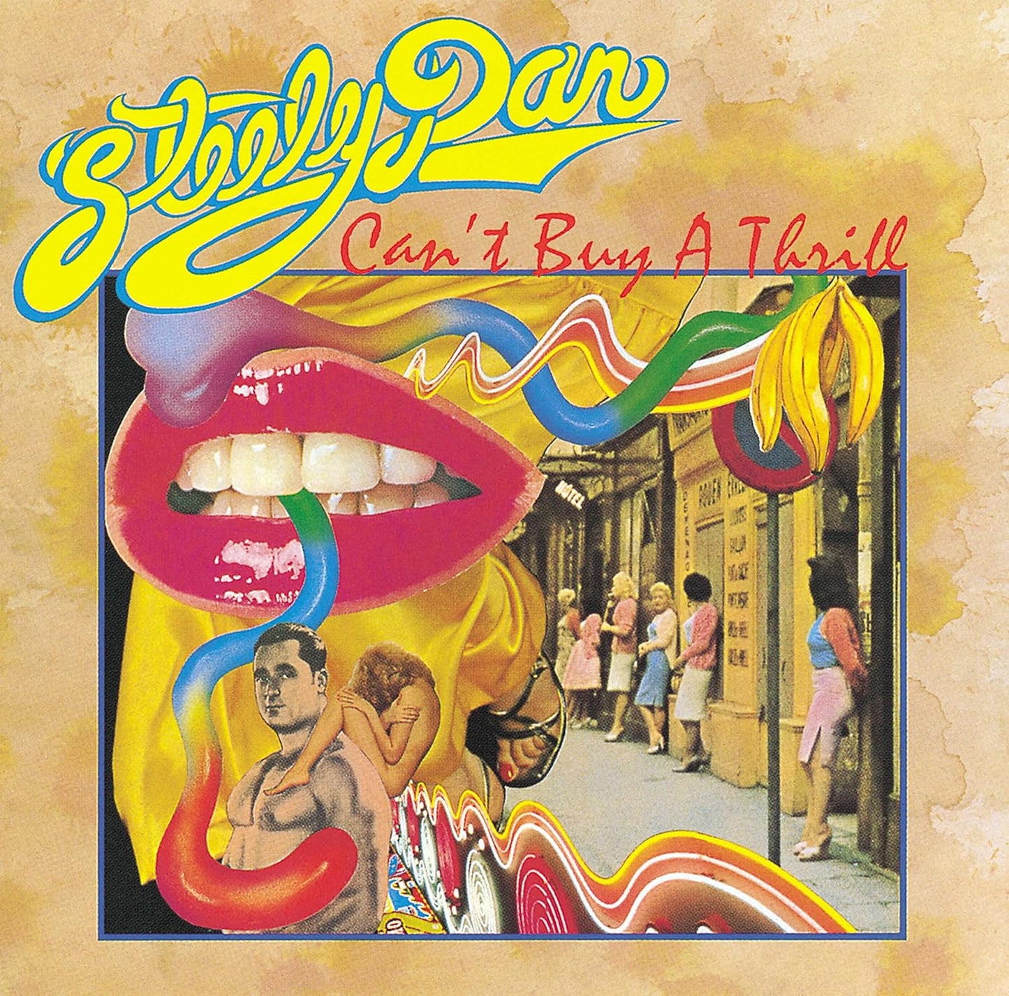 Steely Dan - Can't Buy a Thrill - Vinyl LP