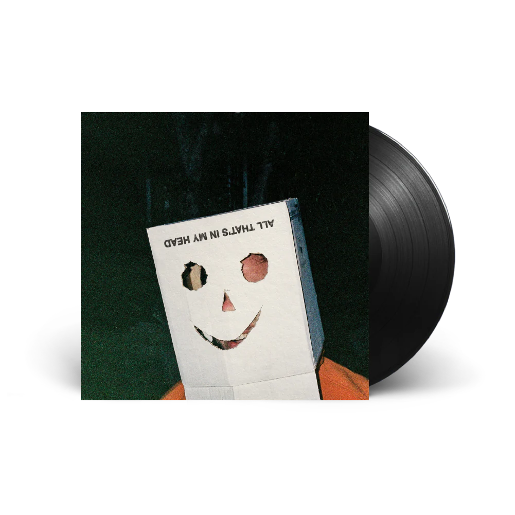 The Vanns - All that's in my head - Vinyl LP